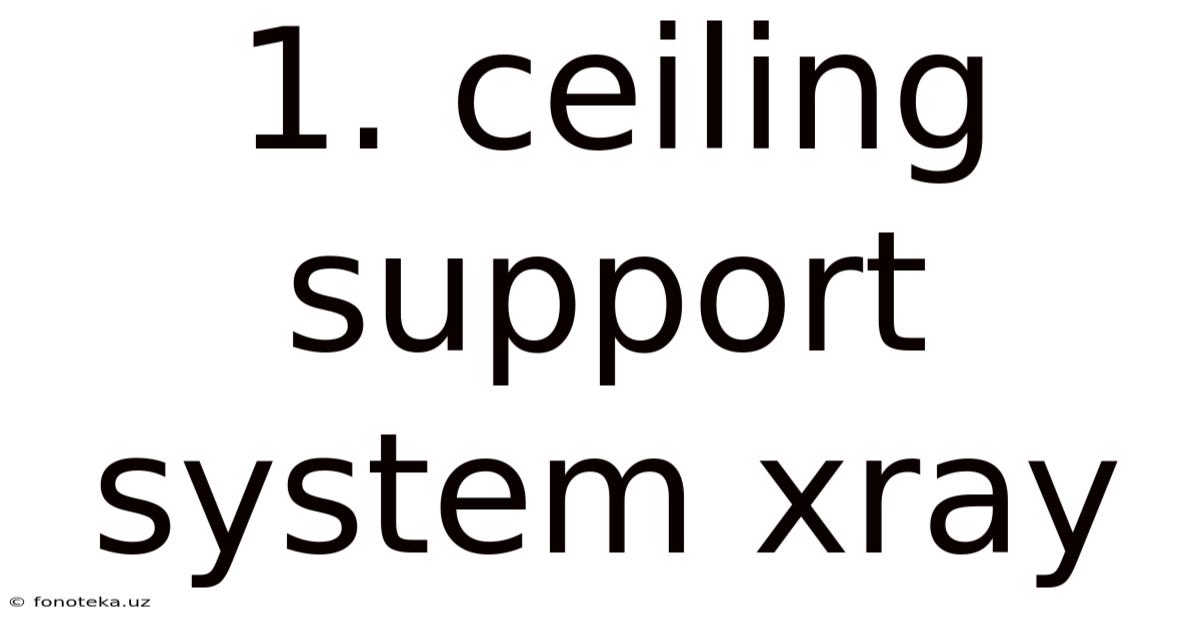 1. Ceiling Support System Xray