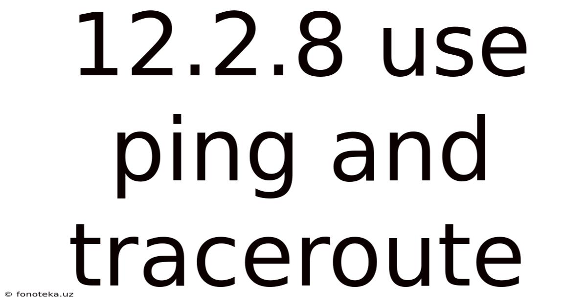 12.2.8 Use Ping And Traceroute