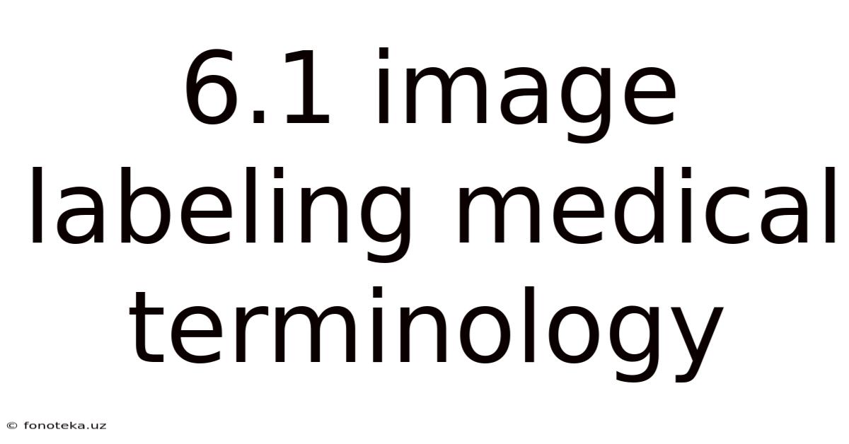 6.1 Image Labeling Medical Terminology