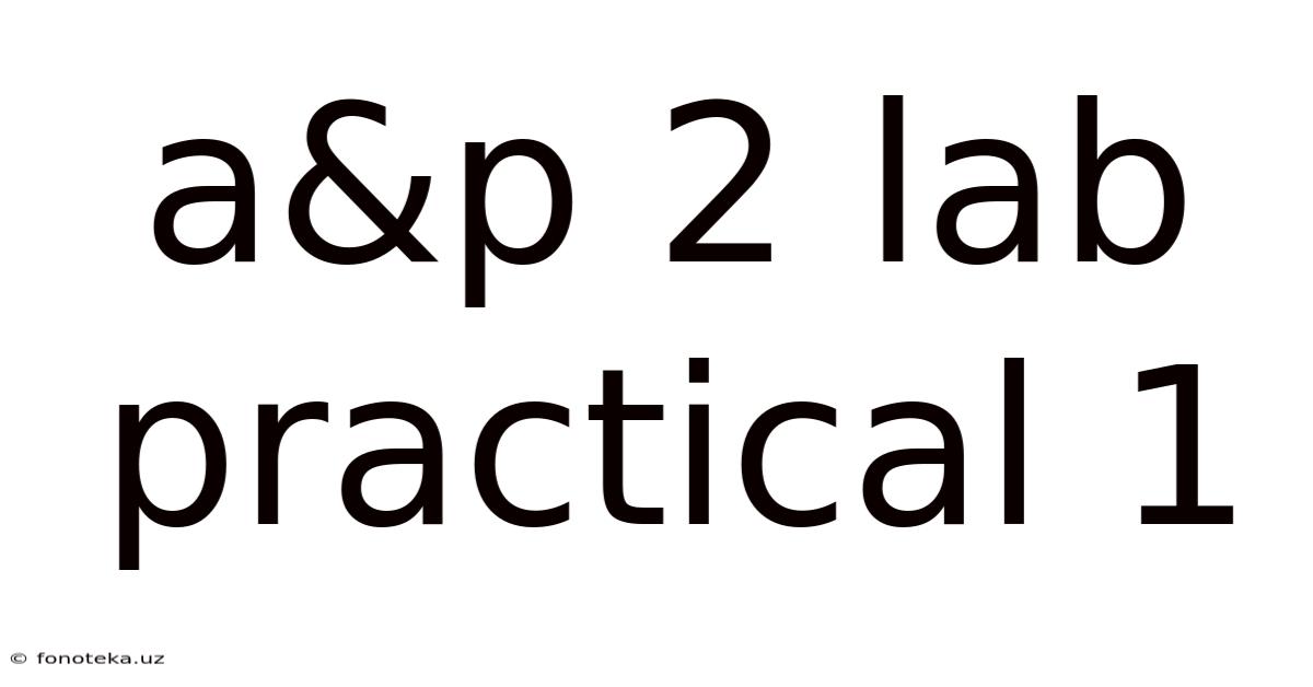 A&p 2 Lab Practical 1