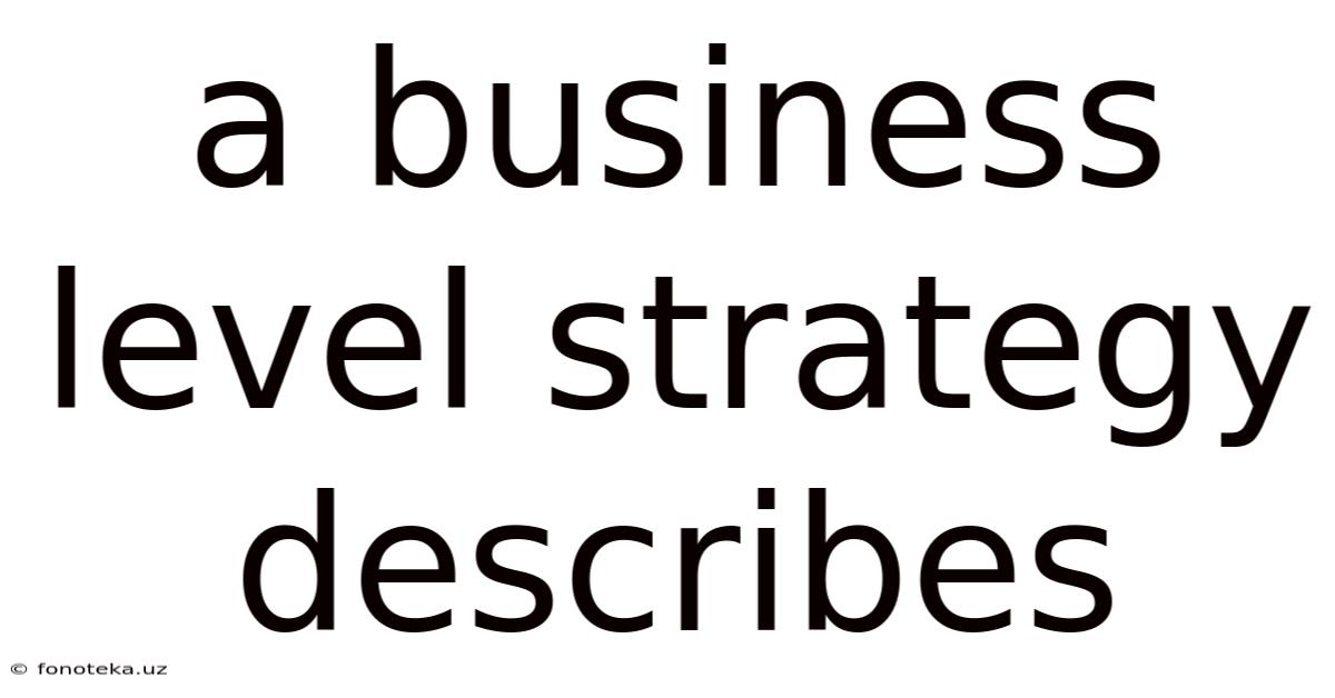 A Business Level Strategy Describes