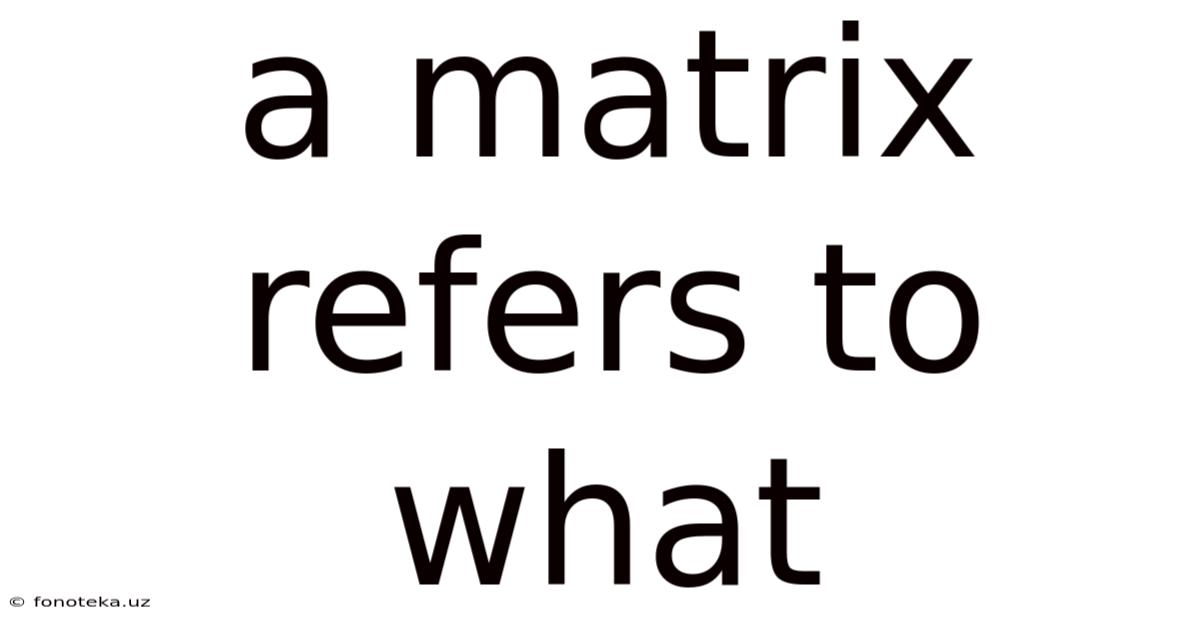 A Matrix Refers To What