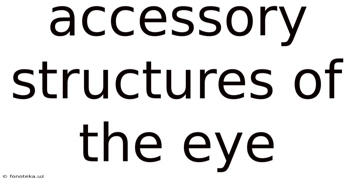 Accessory Structures Of The Eye
