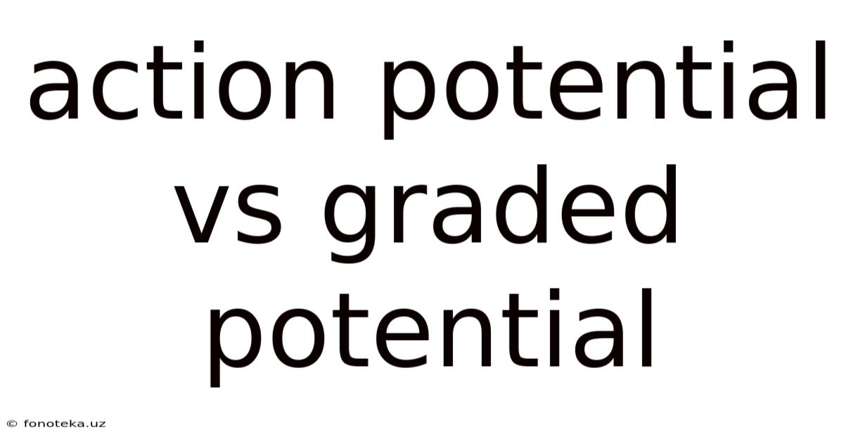 Action Potential Vs Graded Potential