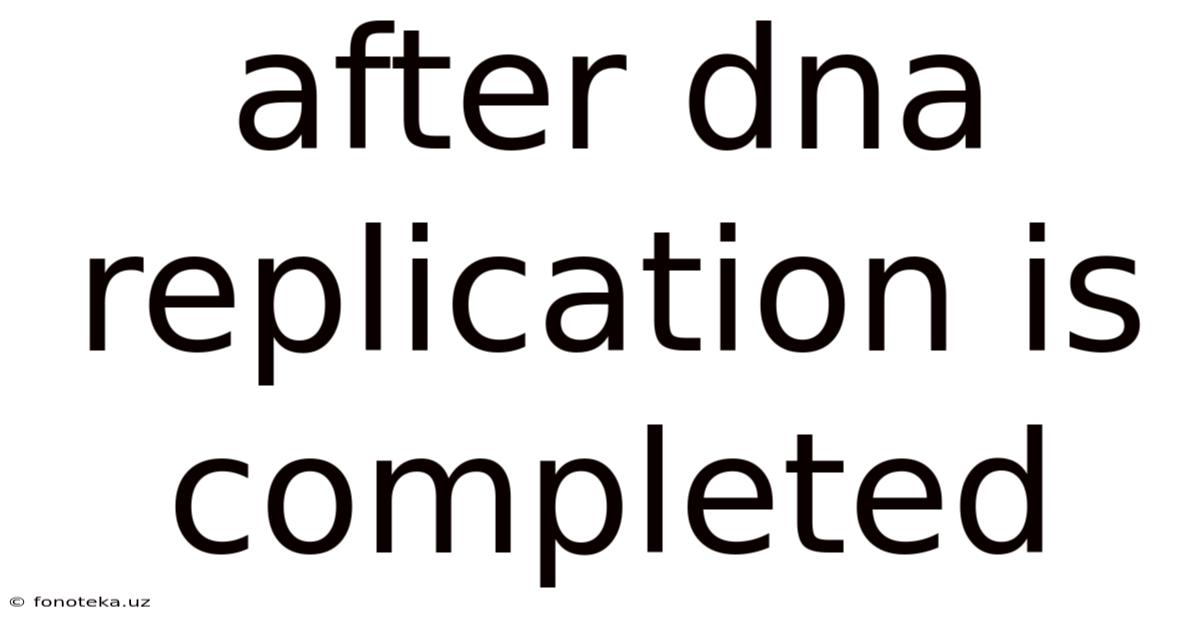 After Dna Replication Is Completed