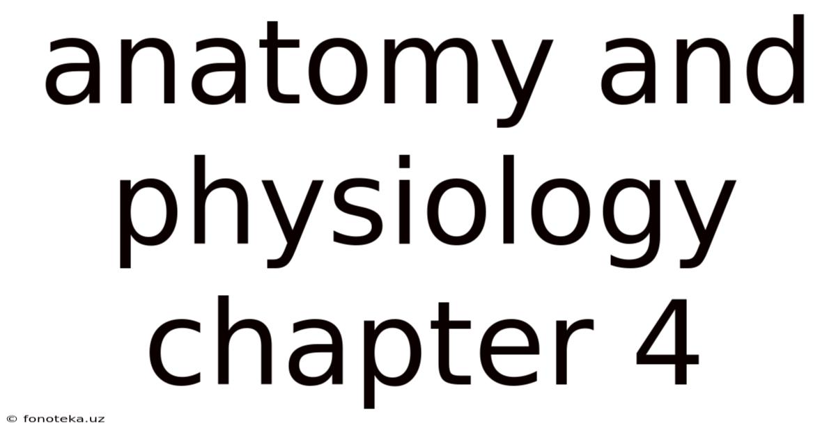Anatomy And Physiology Chapter 4