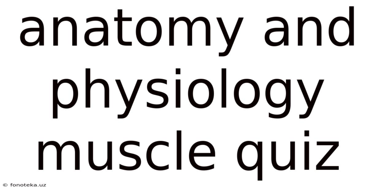 Anatomy And Physiology Muscle Quiz