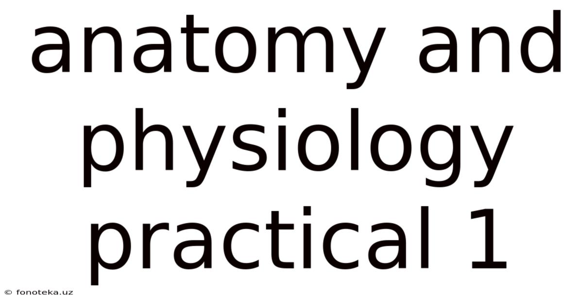 Anatomy And Physiology Practical 1