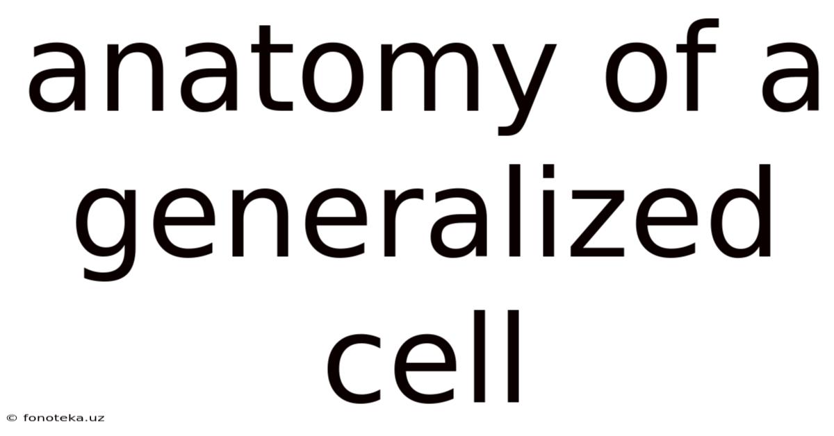 Anatomy Of A Generalized Cell