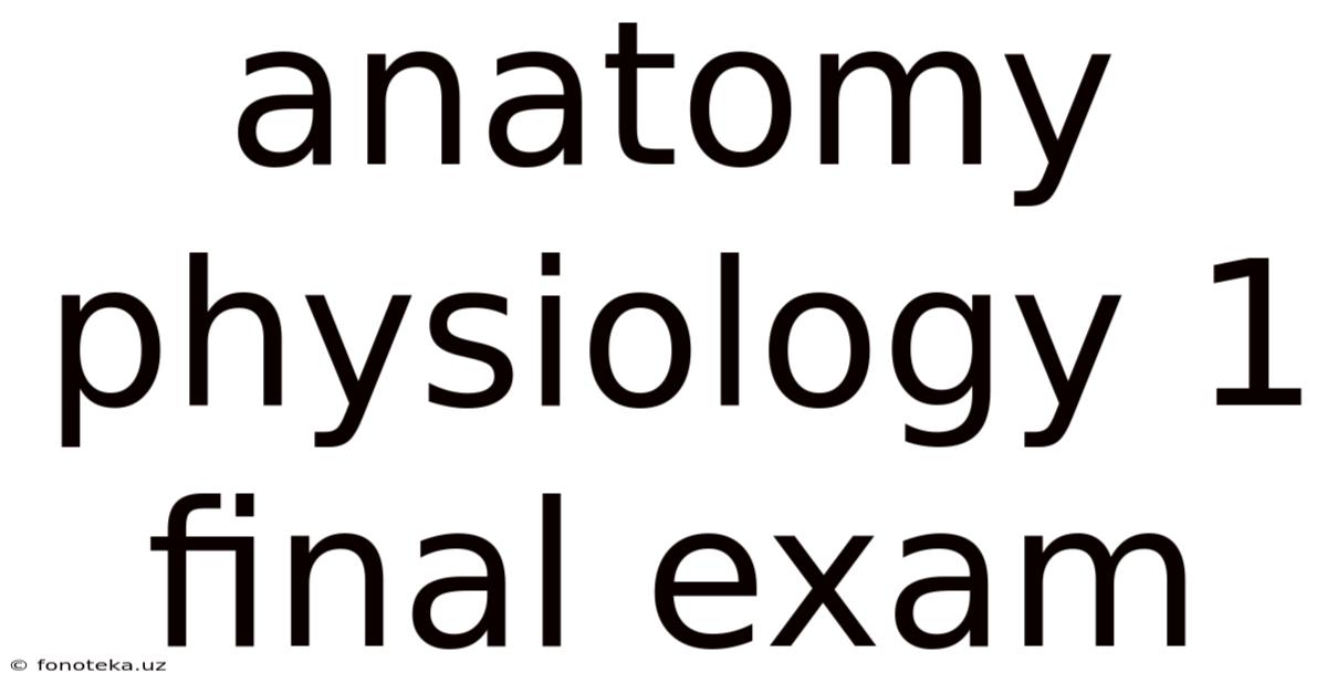 Anatomy Physiology 1 Final Exam