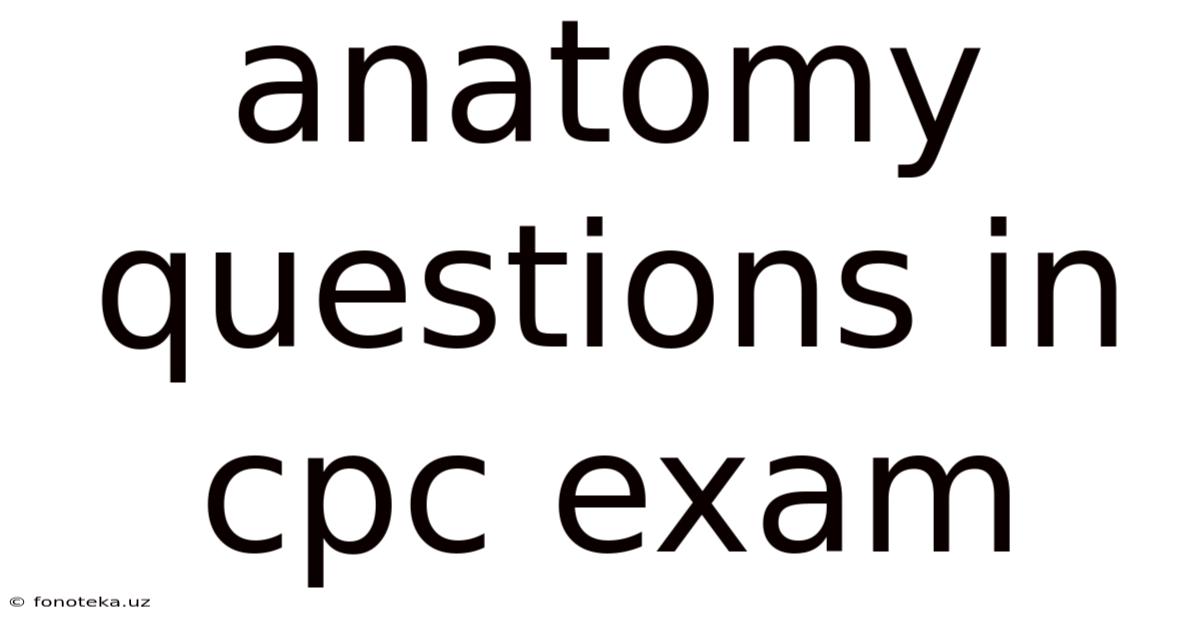 Anatomy Questions In Cpc Exam