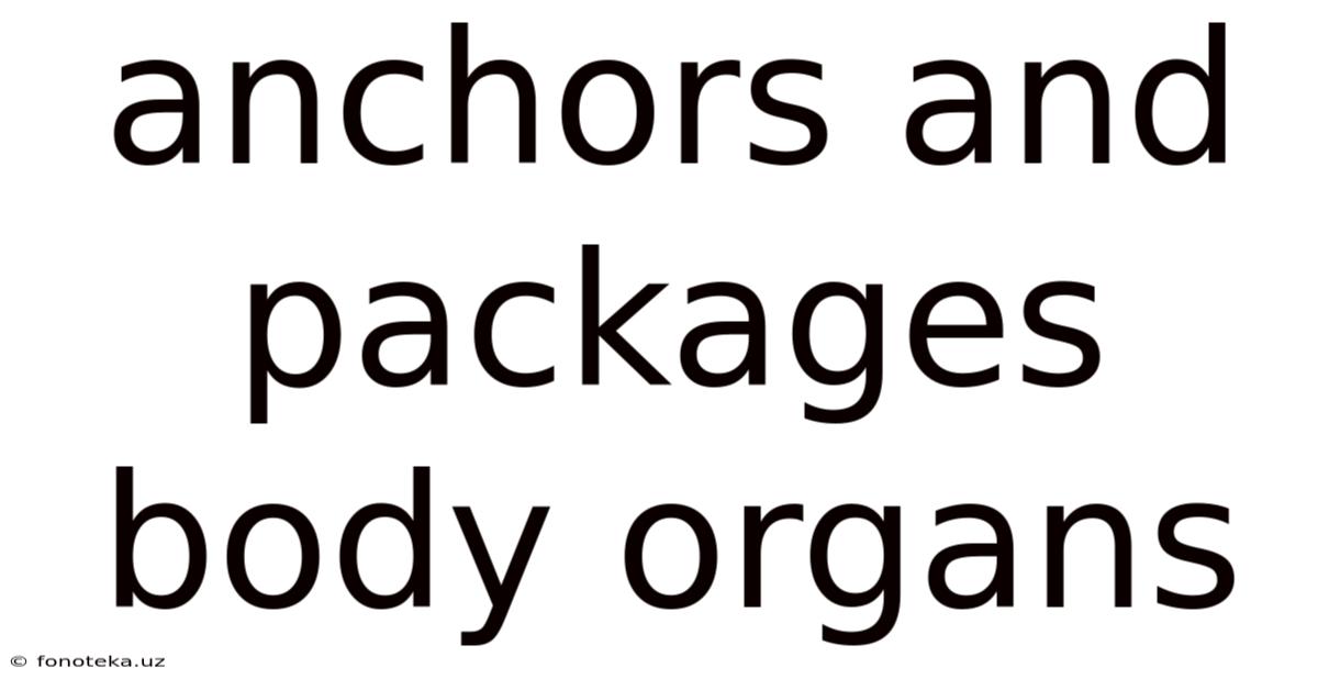 Anchors And Packages Body Organs