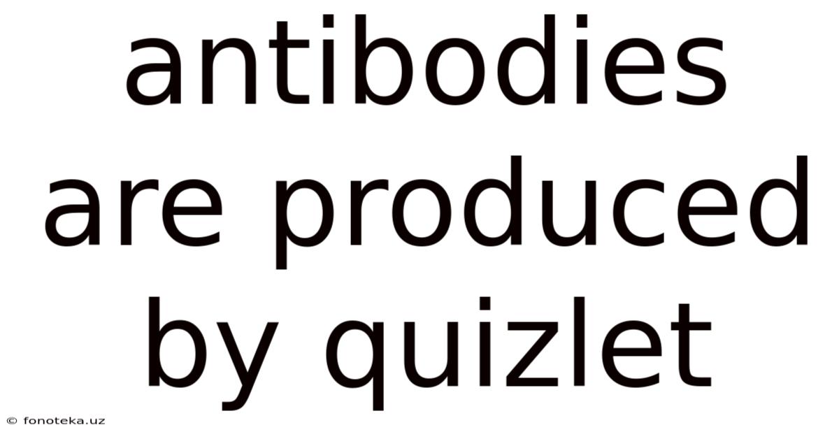 Antibodies Are Produced By Quizlet