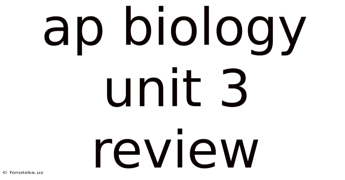 Ap Biology Unit 3 Review