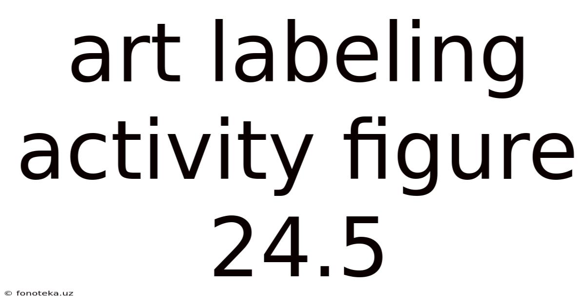 Art Labeling Activity Figure 24.5
