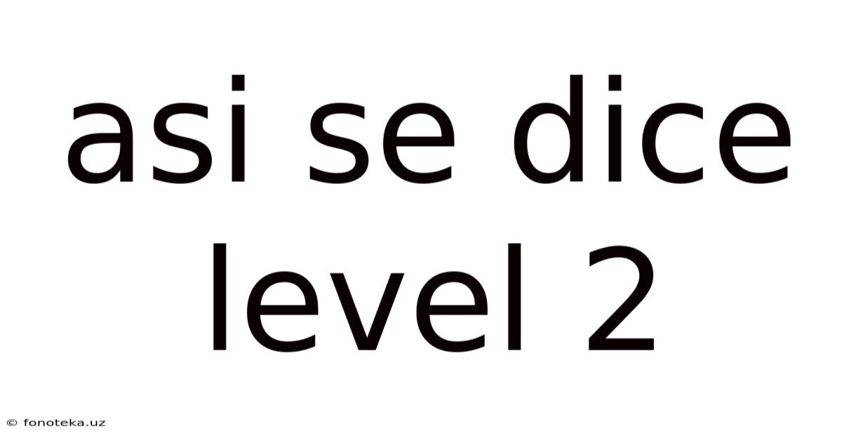 Asi Se Dice Level 2