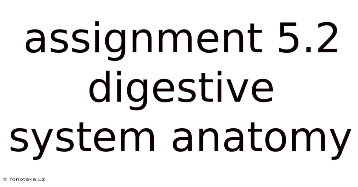 Assignment 5.2 Digestive System Anatomy
