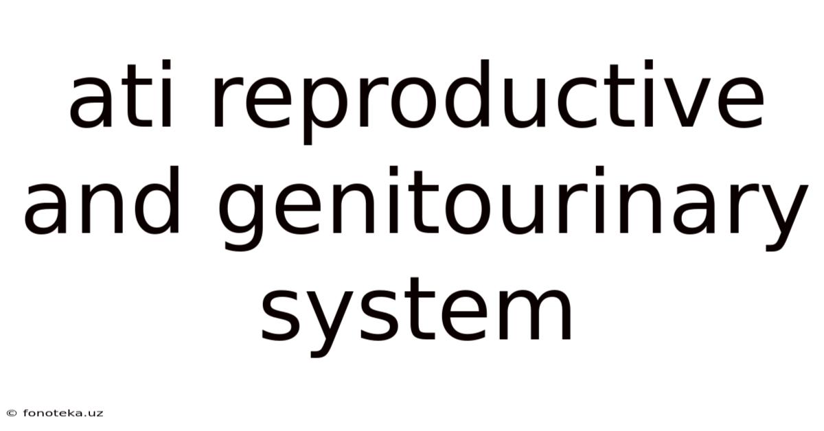 Ati Reproductive And Genitourinary System