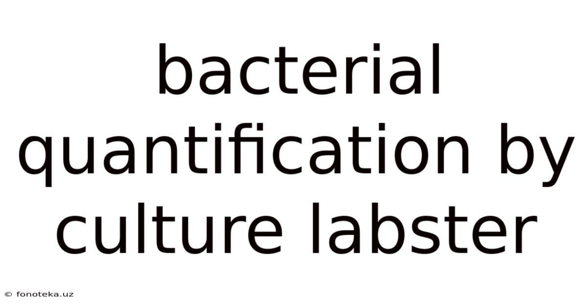 Bacterial Quantification By Culture Labster