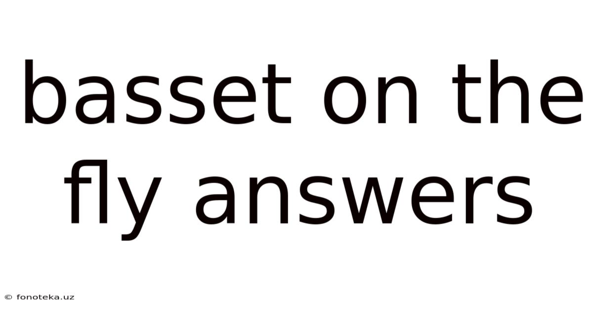 Basset On The Fly Answers