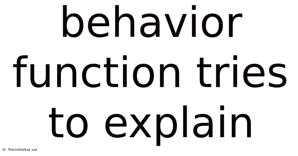 Behavior Function Tries To Explain