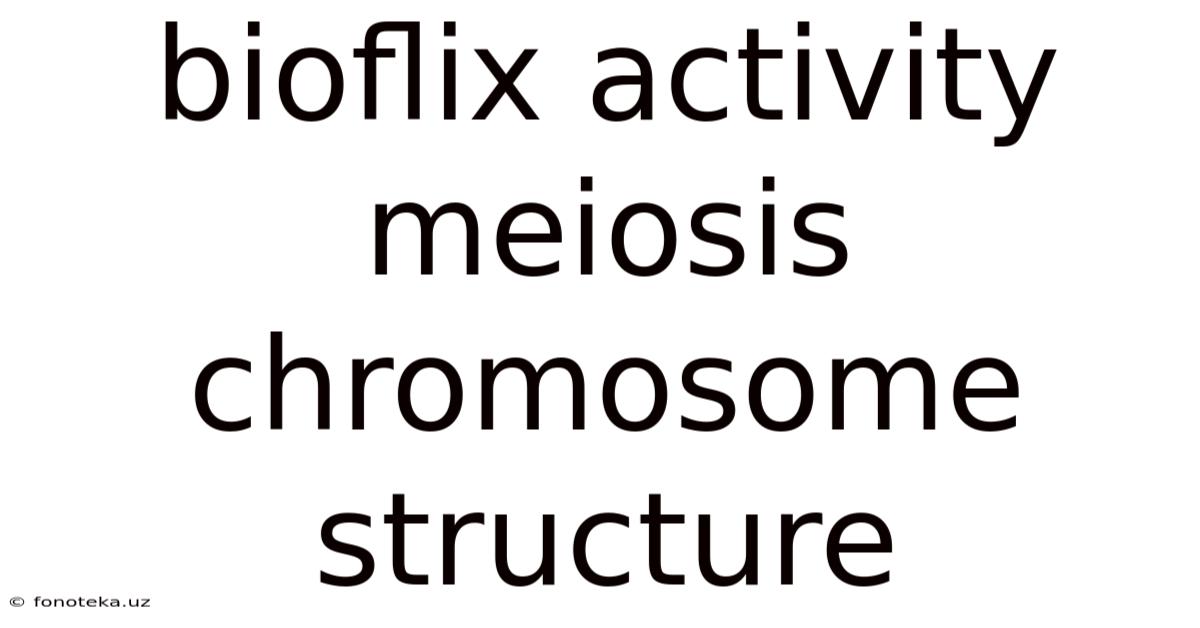 Bioflix Activity Meiosis Chromosome Structure