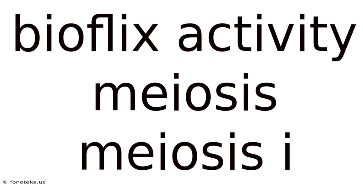 Bioflix Activity Meiosis Meiosis I