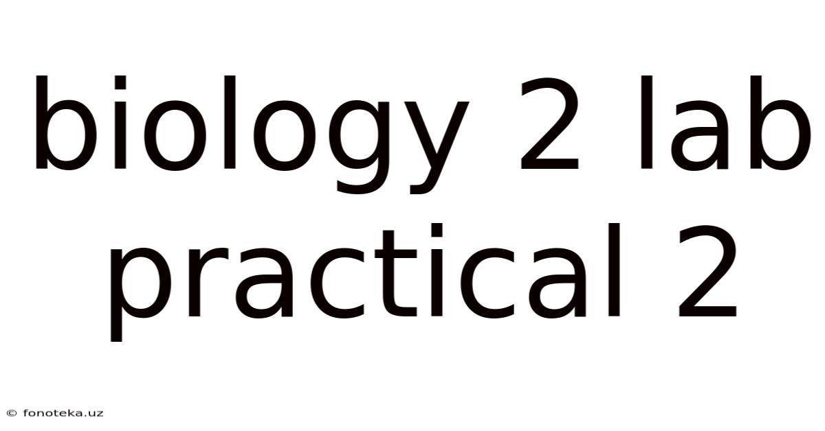 Biology 2 Lab Practical 2