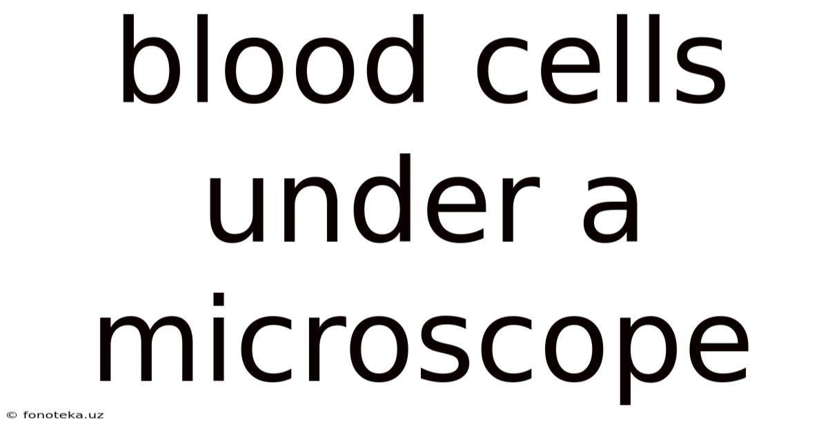 Blood Cells Under A Microscope