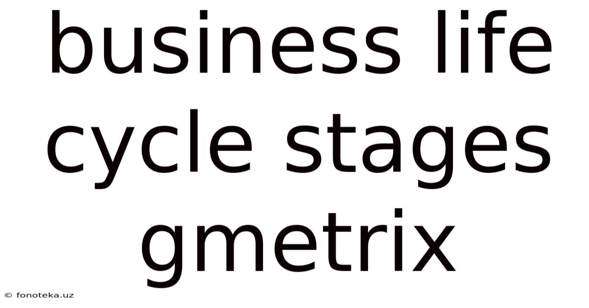 Business Life Cycle Stages Gmetrix