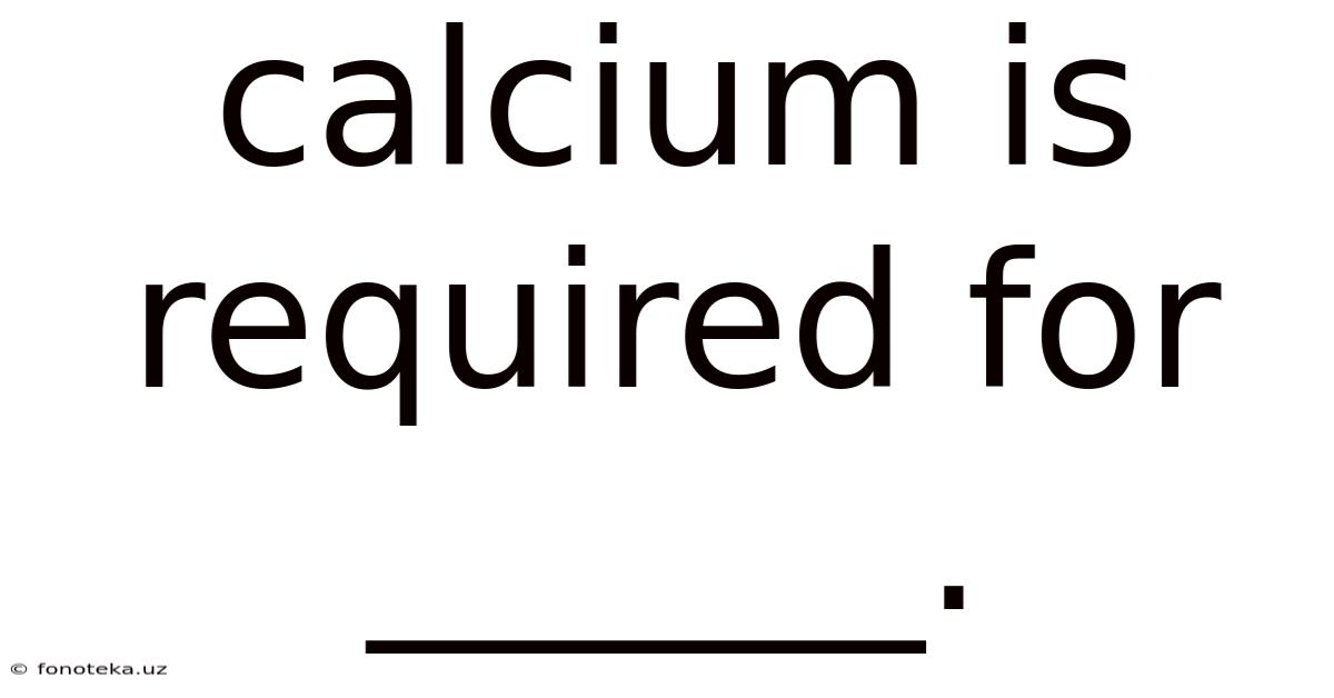 Calcium Is Required For ______.