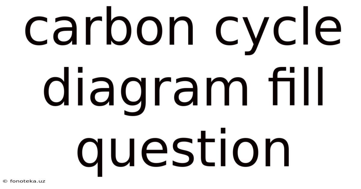 Carbon Cycle Diagram Fill Question