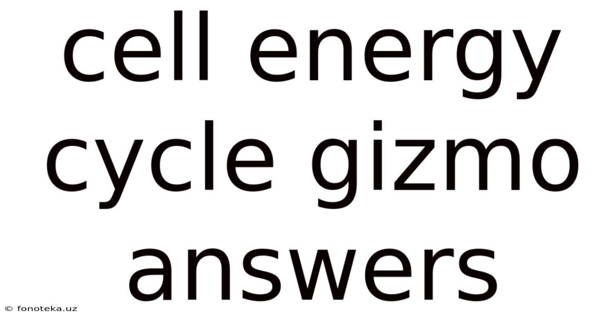 Cell Energy Cycle Gizmo Answers