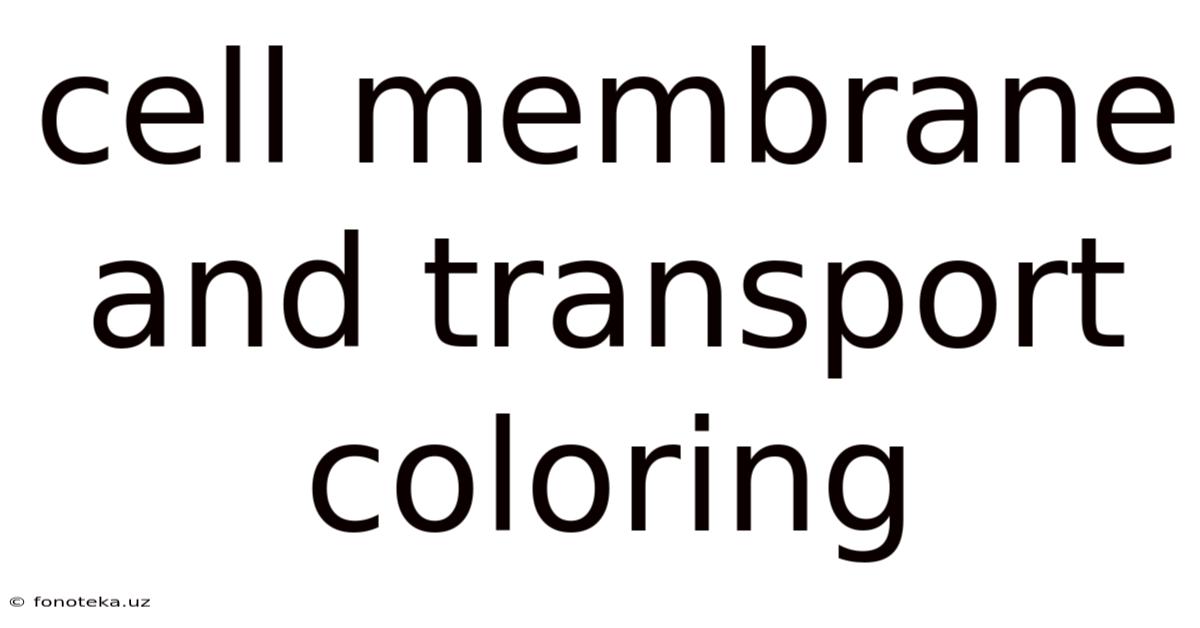 Cell Membrane And Transport Coloring