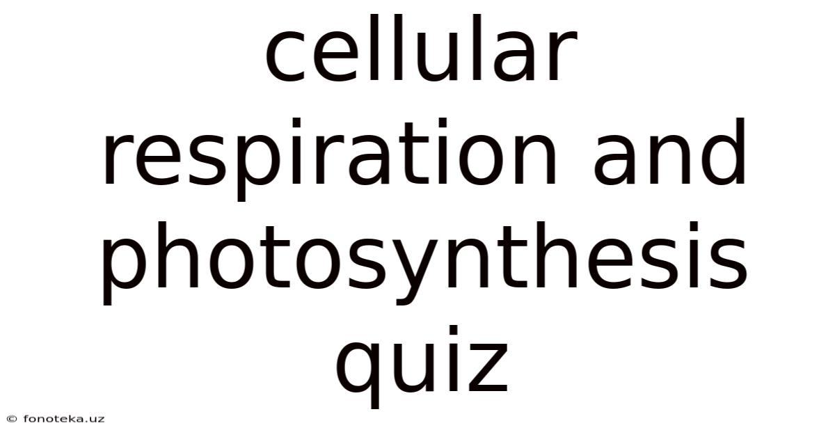 Cellular Respiration And Photosynthesis Quiz