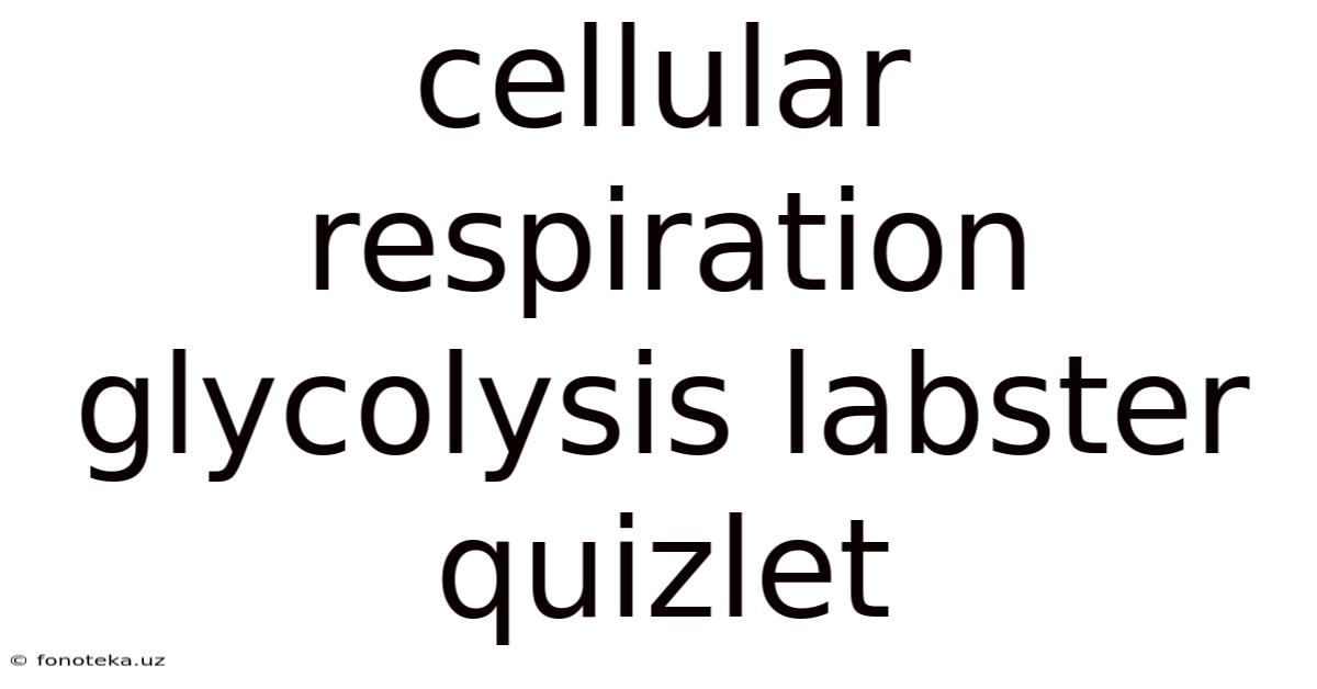 Cellular Respiration Glycolysis Labster Quizlet