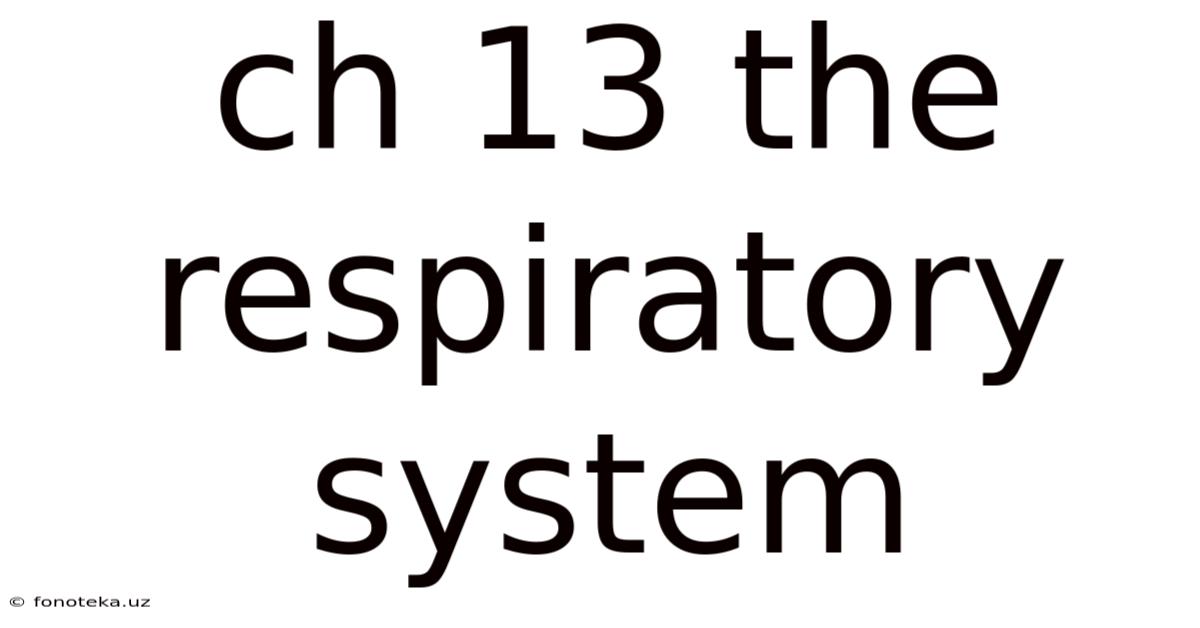 Ch 13 The Respiratory System