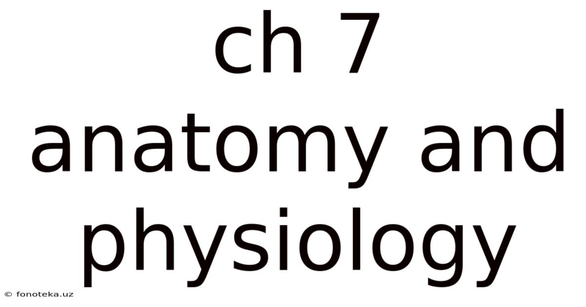 Ch 7 Anatomy And Physiology