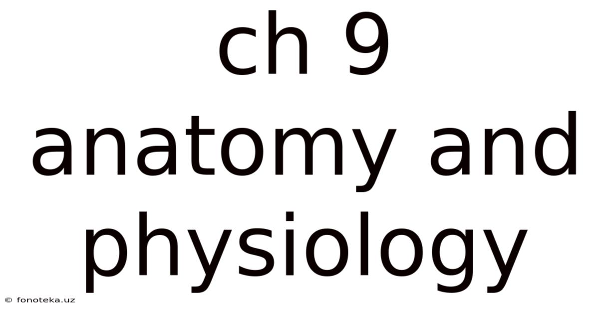 Ch 9 Anatomy And Physiology