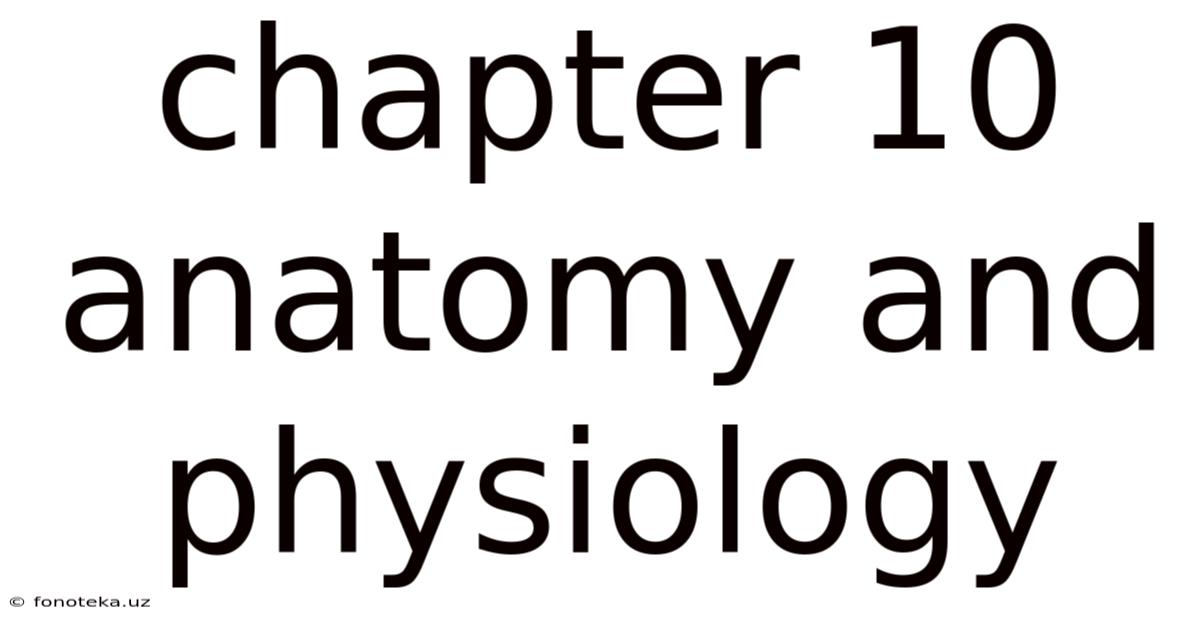 Chapter 10 Anatomy And Physiology