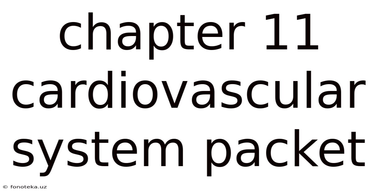 Chapter 11 Cardiovascular System Packet