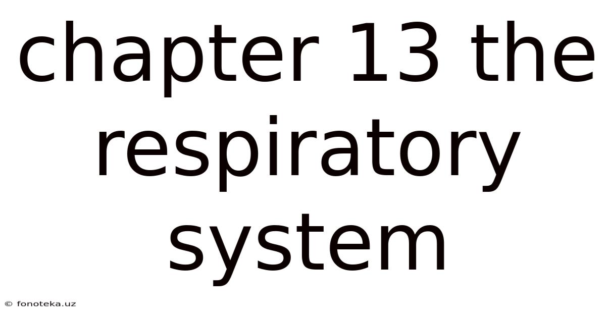 Chapter 13 The Respiratory System