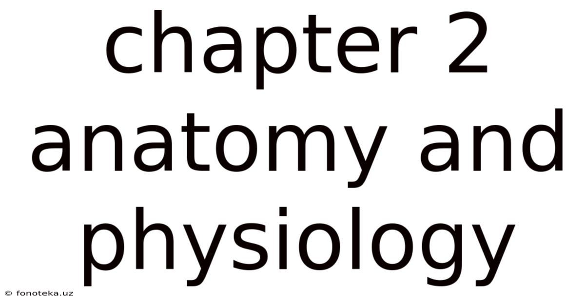 Chapter 2 Anatomy And Physiology