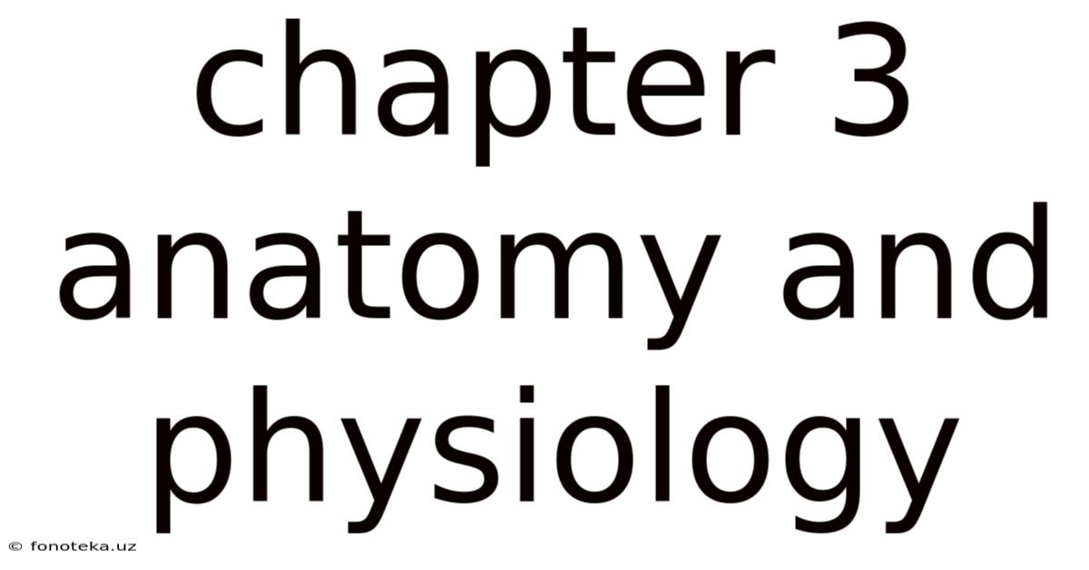 Chapter 3 Anatomy And Physiology