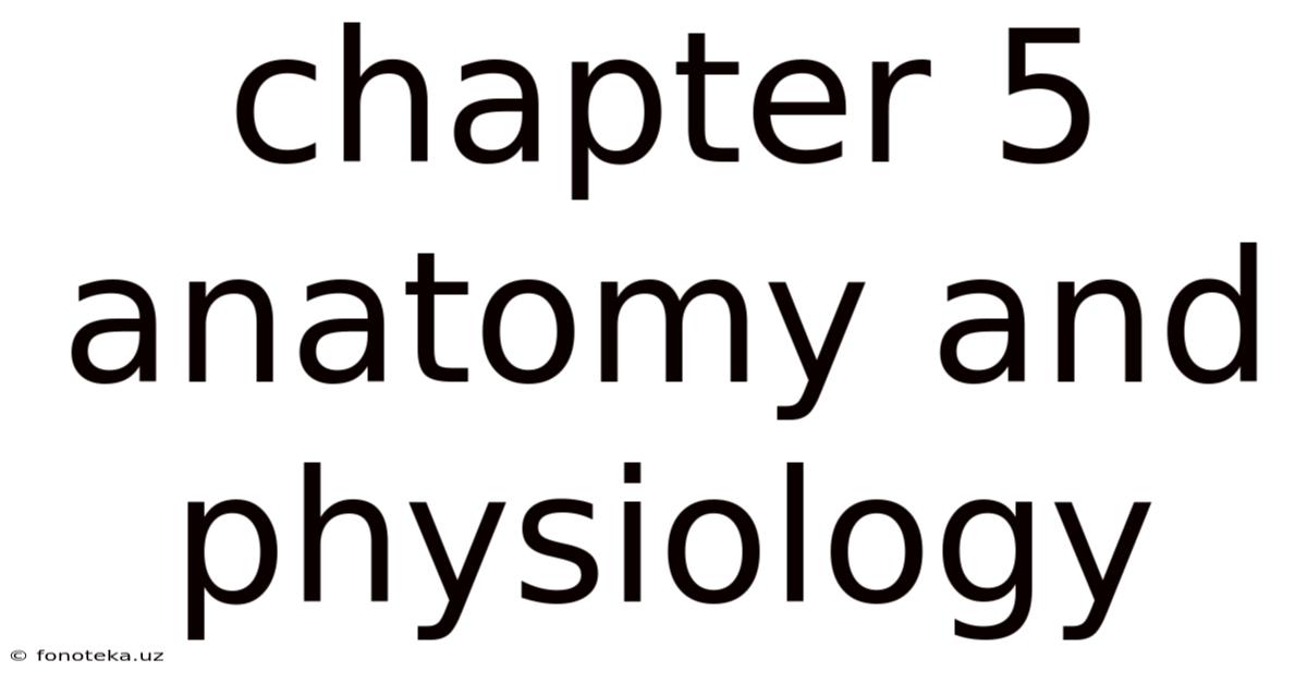 Chapter 5 Anatomy And Physiology