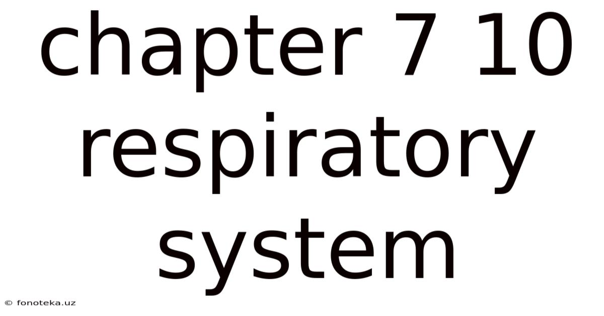 Chapter 7 10 Respiratory System