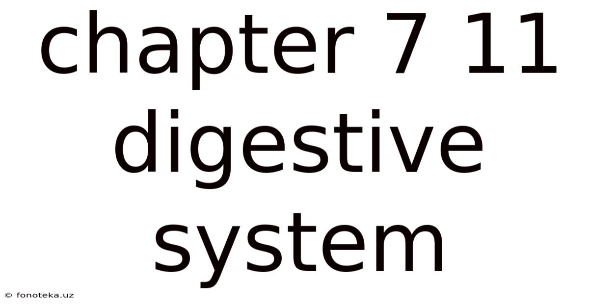 Chapter 7 11 Digestive System