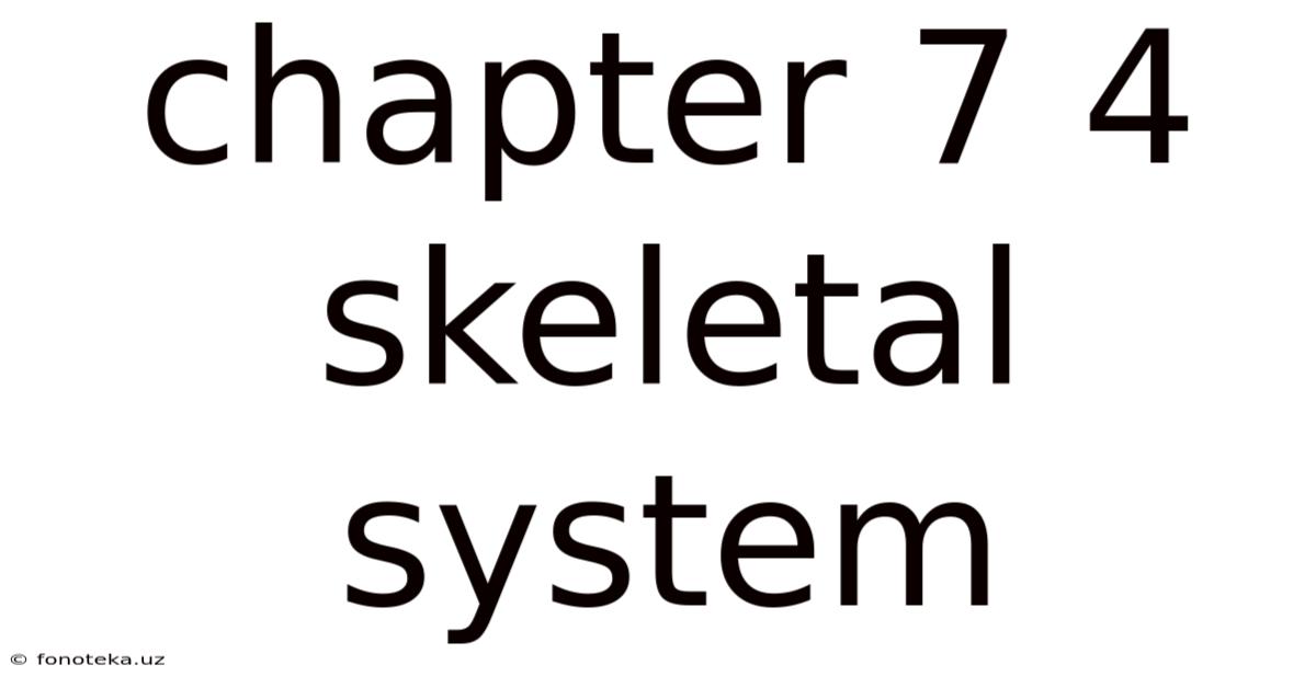 Chapter 7 4 Skeletal System