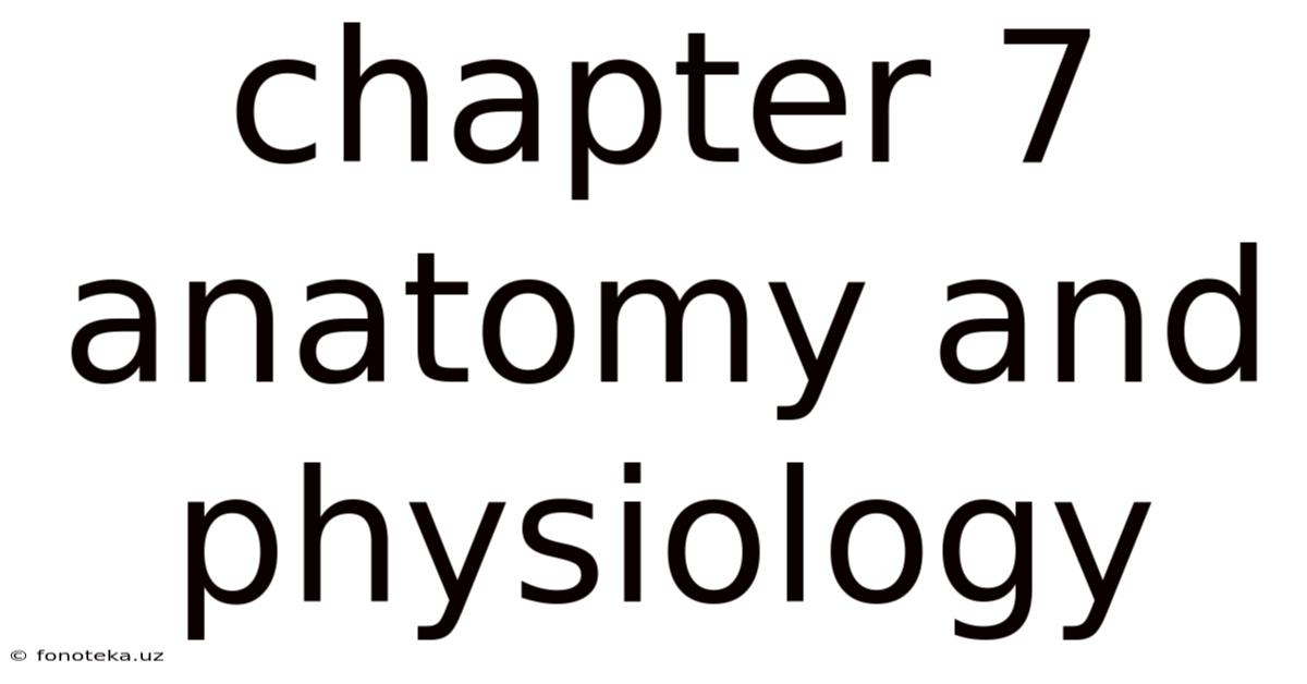 Chapter 7 Anatomy And Physiology