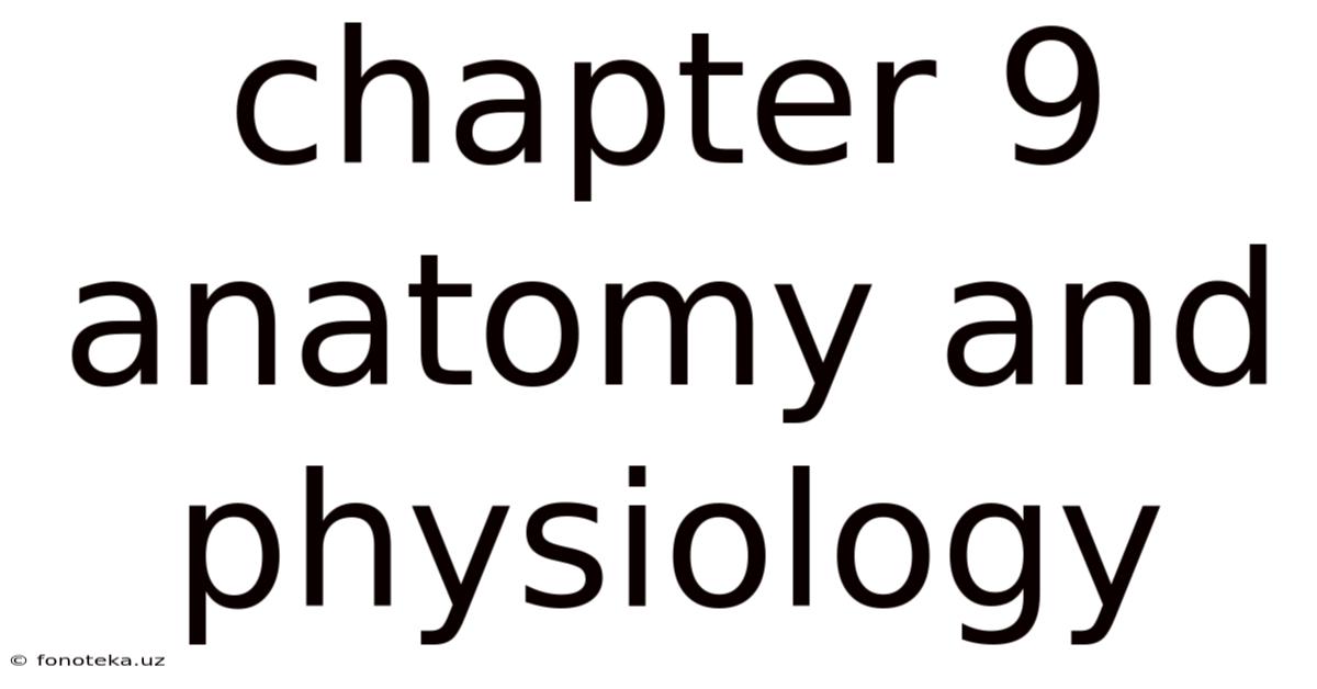 Chapter 9 Anatomy And Physiology